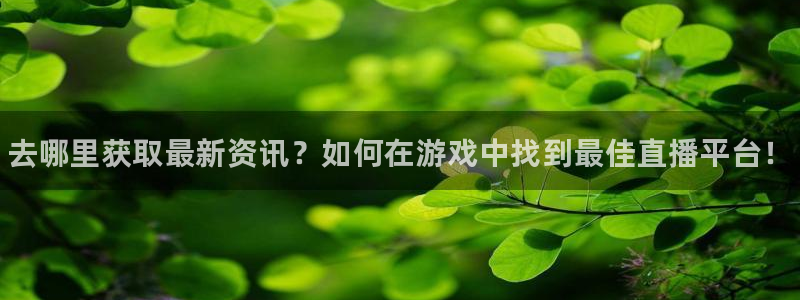 鼎点娱乐登陆：去哪里获取最新资讯？如何在游戏中找到最佳直播平