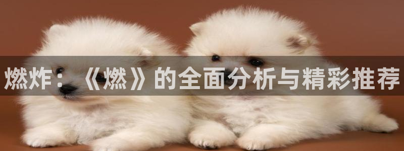 鼎点娱乐平台登录：燃炸：《燃》的全面分析与精彩推荐