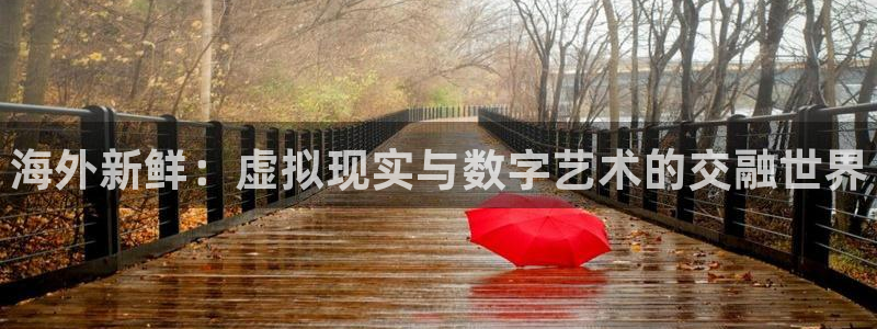 鼎点娱乐游戏：海外新鲜：虚拟现实与数字艺术的交融世界
