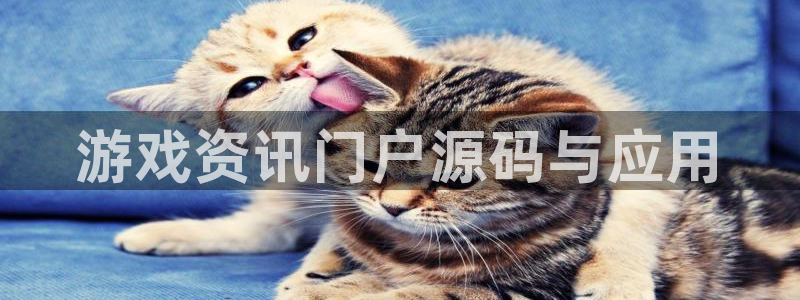 鼎点娱乐平台注册资金多少：游戏资讯门户源码与应用
