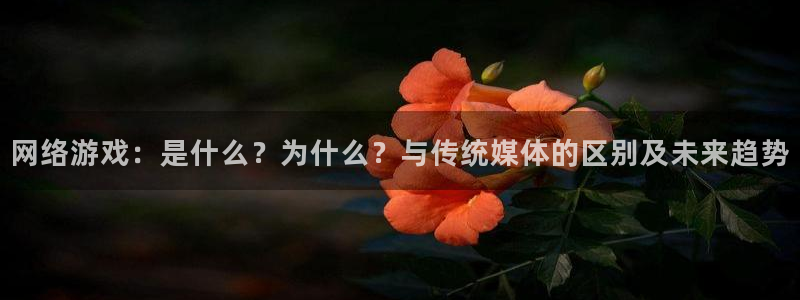 鼎点娱乐升级5994月：网络游戏：是什么？为什么？与传统媒体