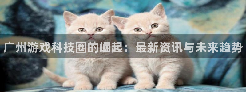 鼎点娱乐官方平台：广州游戏科技圈的崛起：最新资讯与未来趋势