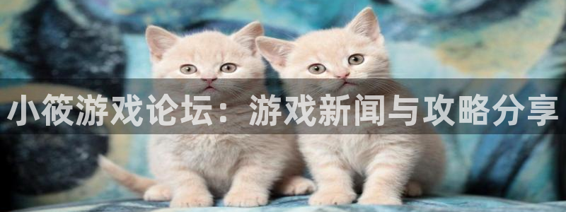 鼎点娱乐的意思：小筱游戏论坛：游戏新闻与攻略分享
