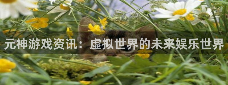 鼎点娱乐直属：元神游戏资讯：虚拟世界的未来娱乐世界