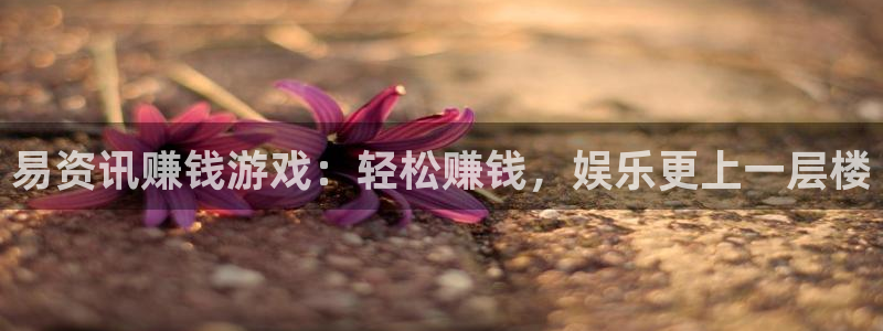 鼎点娱乐登录：易资讯赚钱游戏：轻松赚钱，娱乐更上一层楼