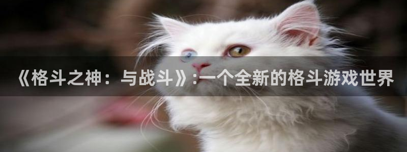 鼎点娱乐4主管：《格斗之神：与战斗》:一个全新的格斗游戏世界