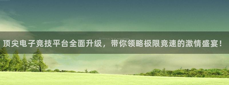 鼎点娱乐4招商：顶尖电子竞技平台全面升级，带你领略极限竞速的