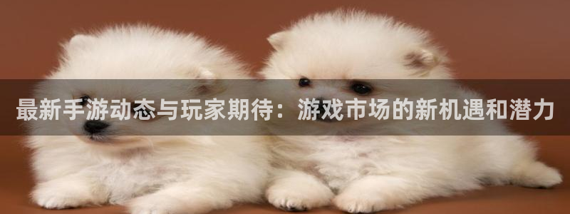 鼎点娱乐直属：最新手游动态与玩家期待：游戏市场的新机遇和潜力