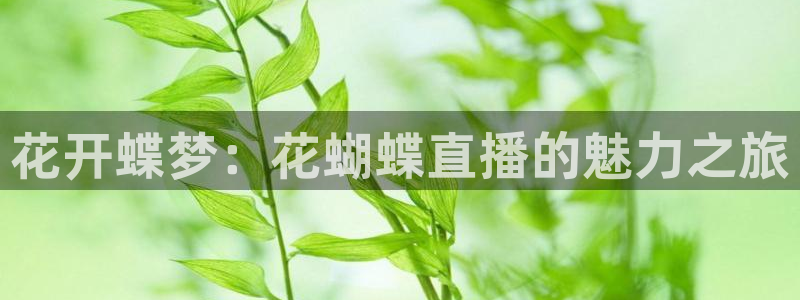 833篮球体育免费直播平台：花开蝶梦：花蝴蝶直播的魅力之旅