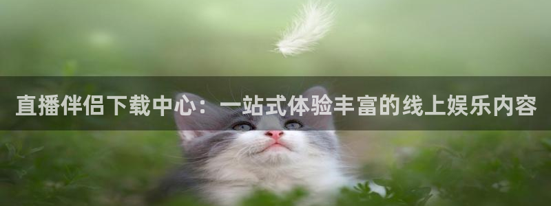 833直播足球比赛在线观看下载：直播伴侣下载中心：一站式体验丰富的线上娱乐内容