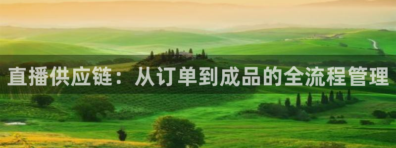足球比赛直播间833：直播供应链：从订单到成品的全流程管理