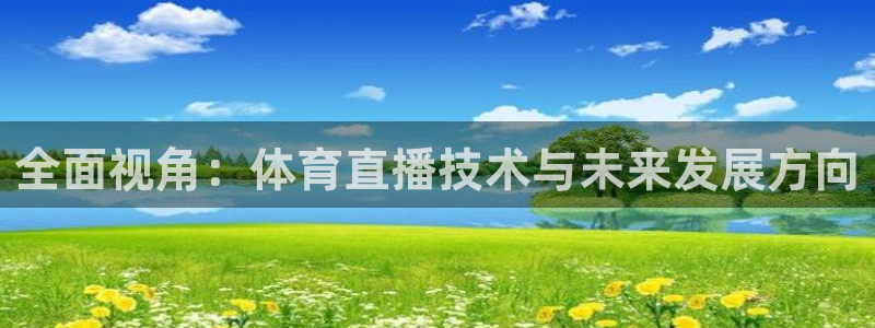 833足球直播免费直播：全面视角：体育直播技术与未来发展方向
