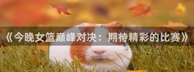833体育免费直播：《今晚女篮巅峰对决：期待精彩的比赛》