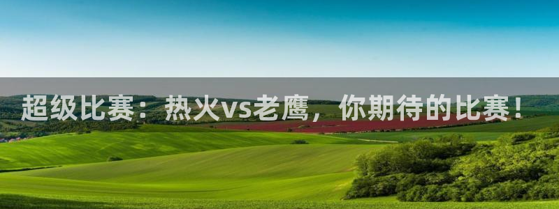 833直播体育：超级比赛：热火vs老鹰，你期待的比赛！