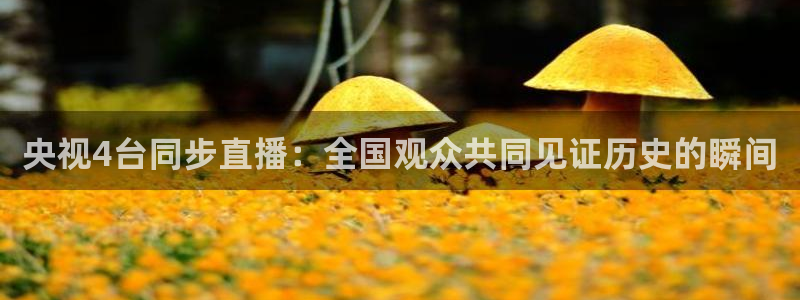 833足球比赛直播：央视4台同步直播：全国观众共同见证历史的瞬间