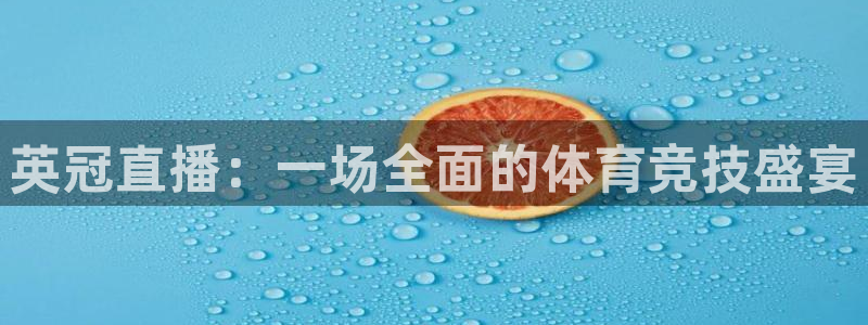 833直播足球比赛在线观看：英冠直播：一场全面的体育竞技盛宴