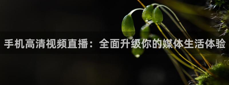 833直播体育：手机高清视频直播：全面升级你的媒体生活体验